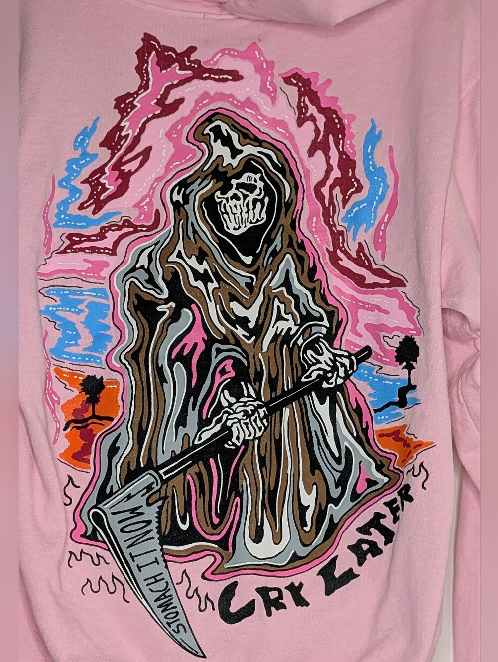 Warren Lotas Pink CRY LATER Hoodie